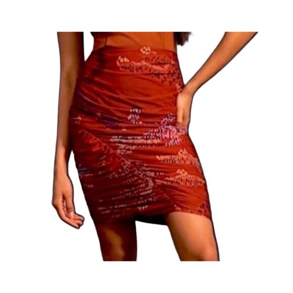 Farm Rio + Anthropologie Ruched Mesh Mini Skirt Motif Side Zip, Size Small - Picture 1 of 8